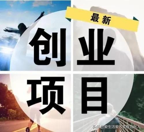 什么项目好赚钱_赚钱好项目有哪些_赚钱好项目优质推荐