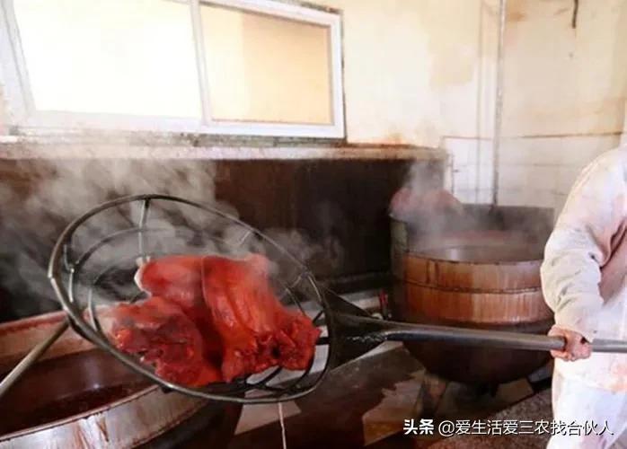 赚钱好项目有哪些_赚钱好项目优质推荐_什么项目好赚钱