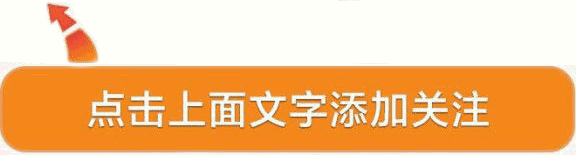 农村地里种什么赚钱-农村地里不种庄稼，反而都栽起了树！怎么回事？老农的回答很现实-优创圈