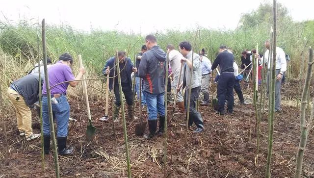 农村地里种什么赚钱_农村地种什么利润大_农村种地赚钱吗