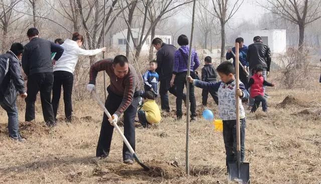 农村地里种什么赚钱_农村种地赚钱吗_农村地种什么利润大