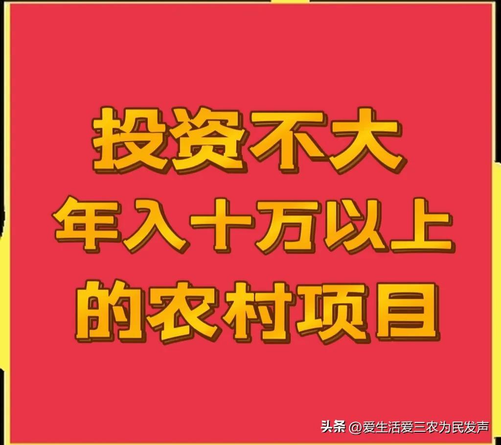 现在开什么赚钱-投资不大，年入十万以上的农村创业项目有哪些？-优创圈