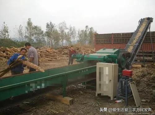 现在开什么赚钱_现在赚钱了_现在开啥赚钱