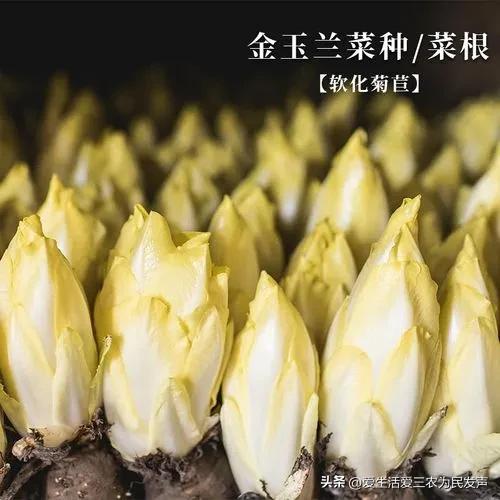 现在开啥赚钱_现在开什么赚钱_现在赚钱了