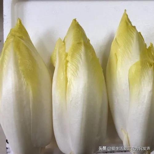 现在开什么赚钱_现在赚钱了_现在开啥赚钱