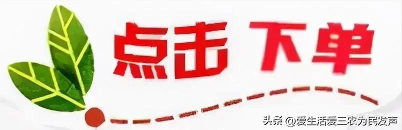 现在开啥赚钱_现在开什么赚钱_现在赚钱了