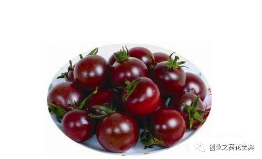 什么农业项目比较赚钱-2018年农业种植什么最赚钱？盘点2018年种植赚钱项目-优创圈