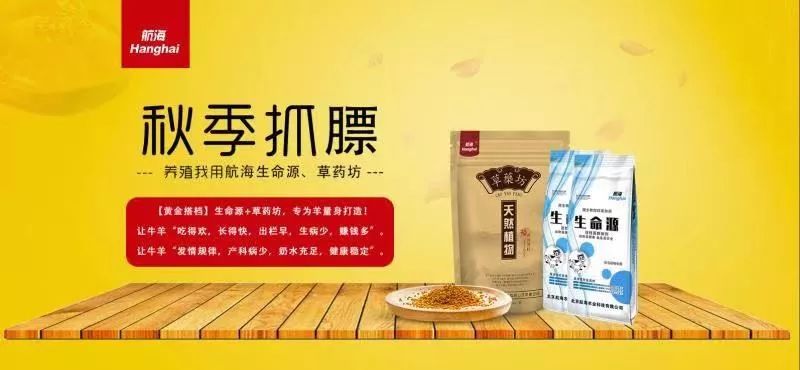 乡下养什么动物赚钱-在农村，种地不赚钱，那就养殖这2种动物，可以实现农民脱贫-优创圈