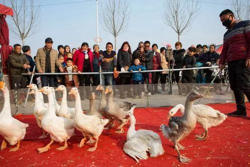 在镇上做什么赚钱_乡镇赚钱_赚钱小镇