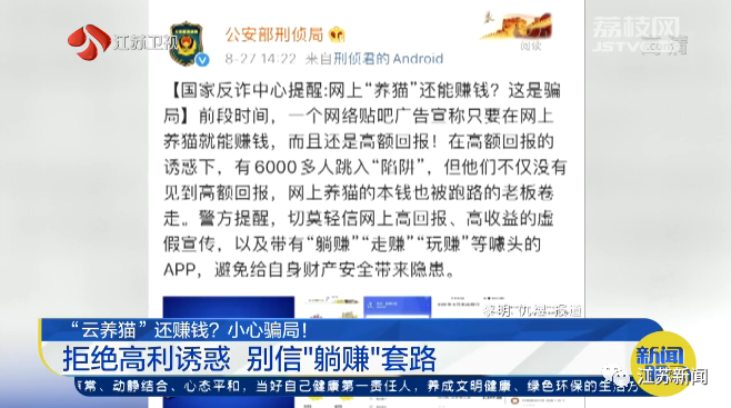 赚钱养猫猫_养猫能赚多少钱_养什么猫最赚钱