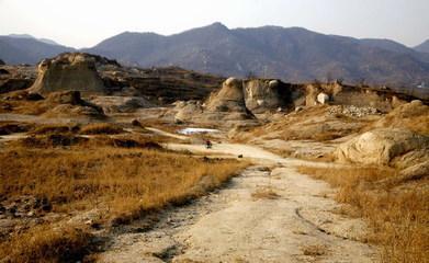 甘肃种植什么最赚钱-甘肃女子砸千万买15000亩戈壁滩，13年把荒地种满宝贝，年入2.7亿-优创圈