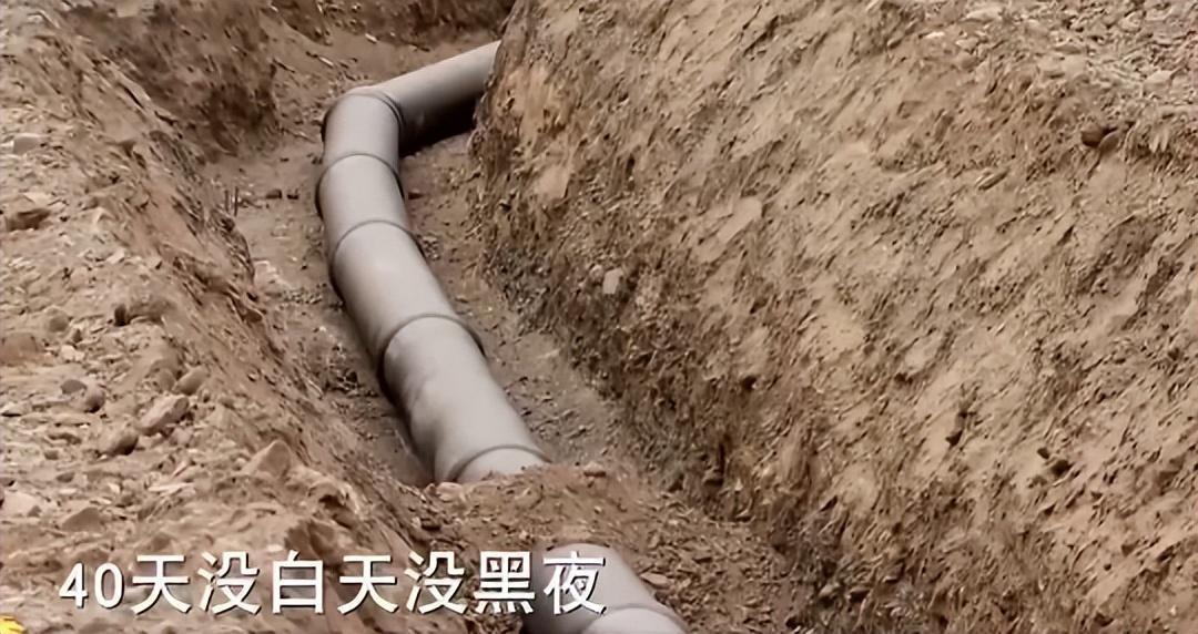 甘肃种树赚钱吗_甘肃种植什么最赚钱_甘肃种植什么好