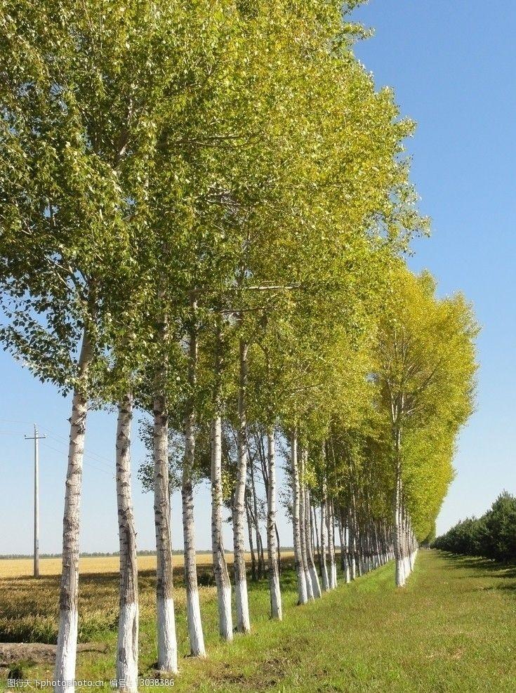 甘肃种植什么最赚钱_甘肃种植什么好_甘肃种树赚钱吗