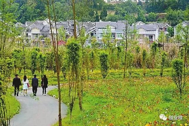 能在家养赚钱的生意_在家能养什么赚钱_能在家养赚钱的小孩