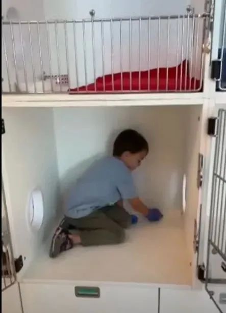 赚钱养猫猫_养什么猫最赚钱_养猫咪赚钱