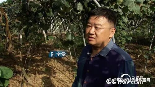 果园养殖什么最赚钱_果园和养殖一般需要多少钱_果园养殖成功案例