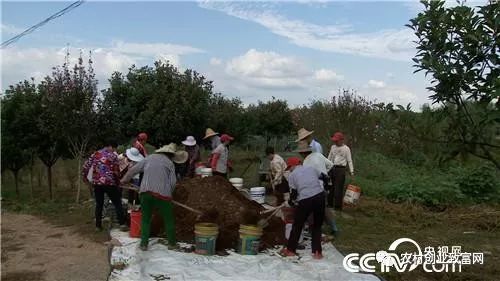 果园和养殖一般需要多少钱_果园养殖什么最赚钱_果园养殖成功案例