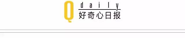 演员为什么赚钱多-金士杰：人是个演员，我只是顺便也做一下可以赚钱的，可以讨生活的演员工作 | 访谈录-优创圈