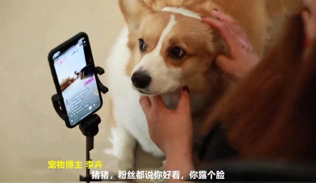 现在什么直播平台赚钱_直播赚钱平台现在还有吗_直播赚钱平台现在还能做吗