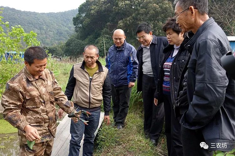 农村搞什么养殖赚钱-在农村，搞这3种养殖很有“钱途”，不说年入百万，十几万不算难-优创圈