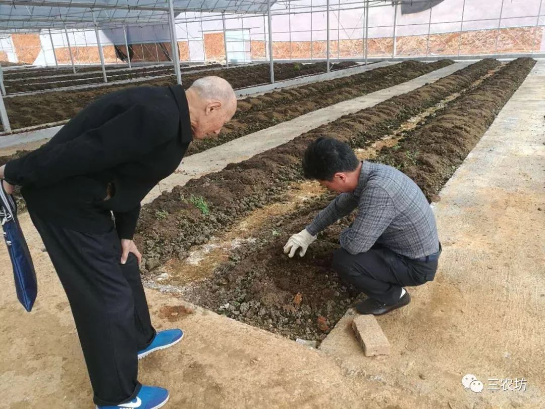 农村养殖赚钱的门路_养殖搞赚钱农村有补贴吗_农村搞什么养殖赚钱