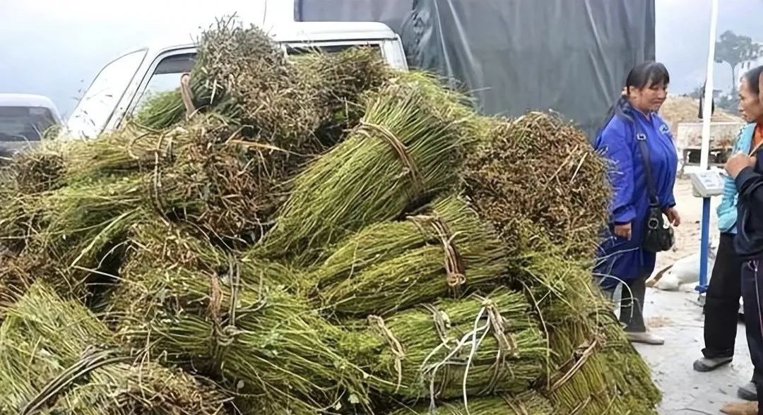 农村回收倒卖什么赚钱-适合年轻人白手起家的冷门小生意，做好发家致富不难-优创圈