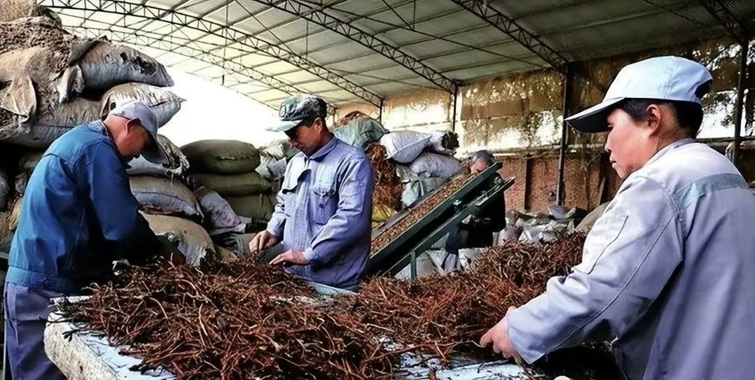 回收挣钱_农村回收倒卖什么赚钱_在农村回收废品赚钱吗