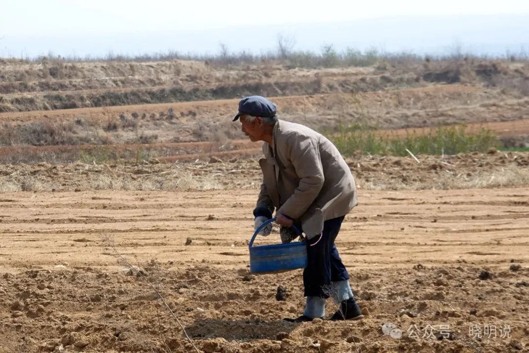 农村种地种什么赚钱-为何农民不赚钱？问题不在地里-优创圈