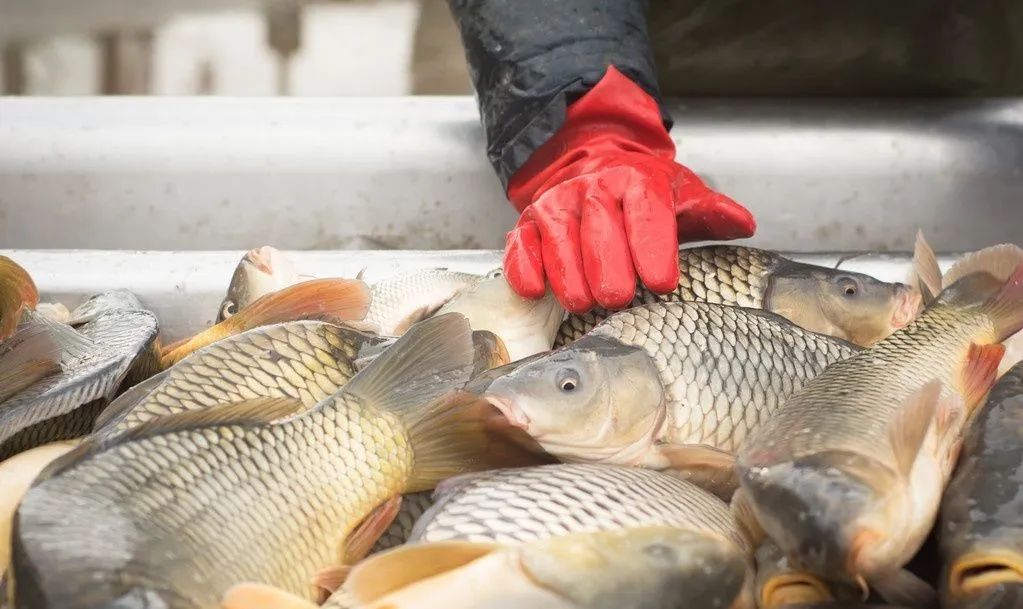 什么项目投资小赚钱-冷门偏门的几个小本创业好项目，成本低赚钱快