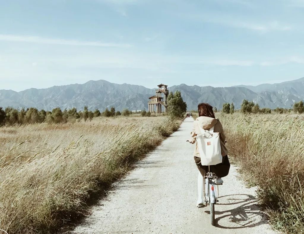 农村种什么果树赚钱_农村种果树前景_种果树利润怎么样