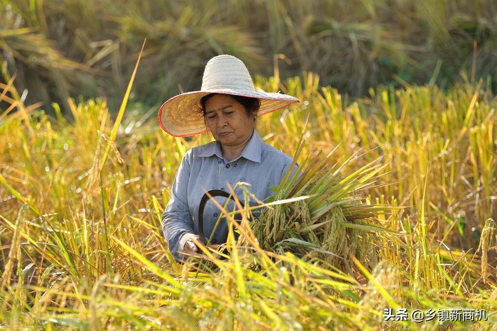 赚钱宝是真的可以赚钱吗_赚钱宝干嘛的_优良宝通过什么赚钱