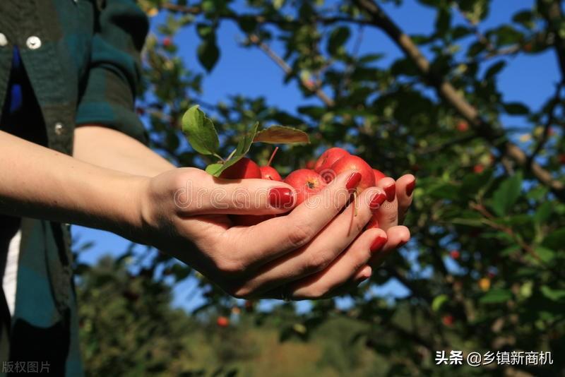 优良宝通过什么赚钱_赚钱宝是真的可以赚钱吗_赚钱宝干嘛的