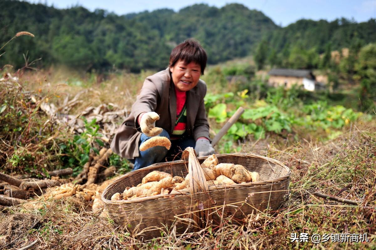 赚钱宝干嘛的_优良宝通过什么赚钱_赚钱宝是真的可以赚钱吗