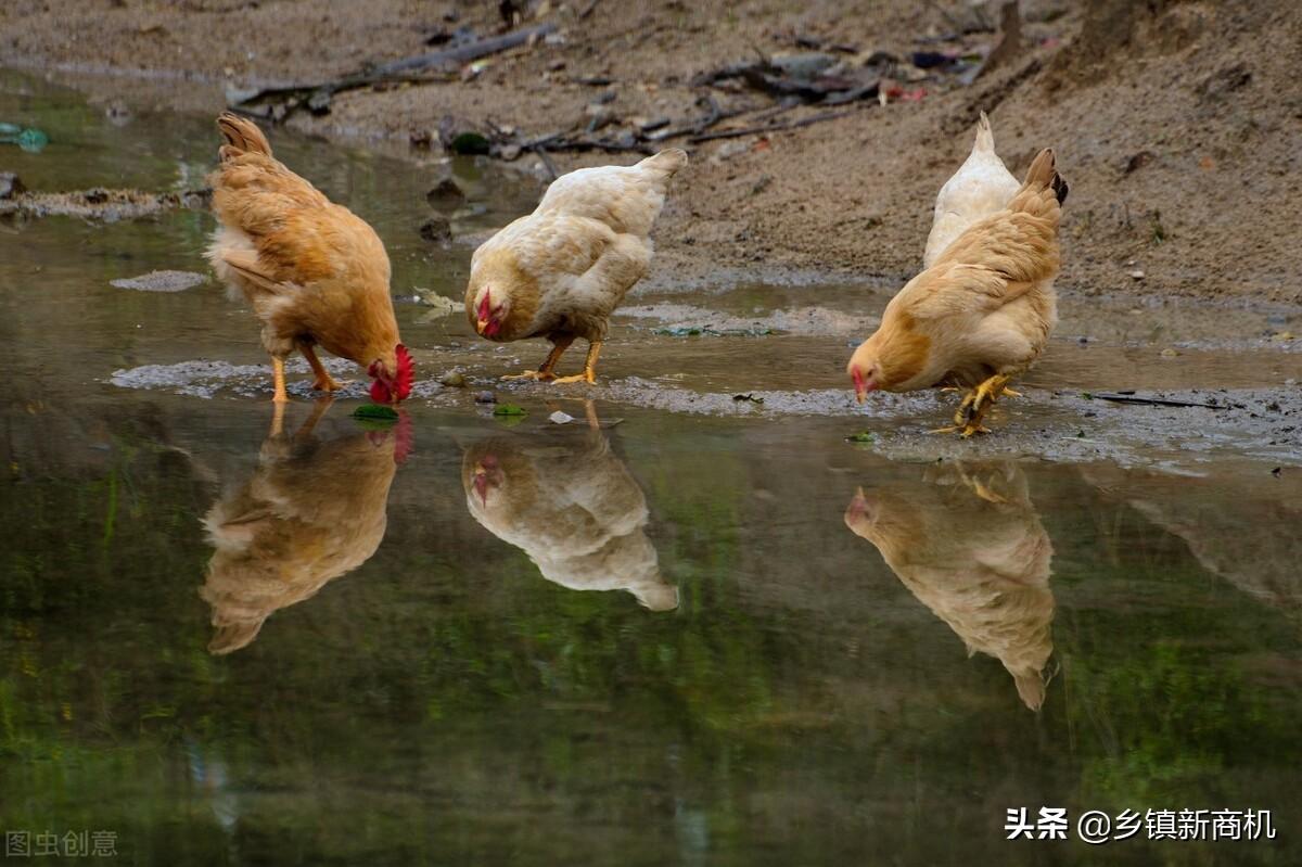 优良宝通过什么赚钱_赚钱宝干嘛的_赚钱宝是真的可以赚钱吗