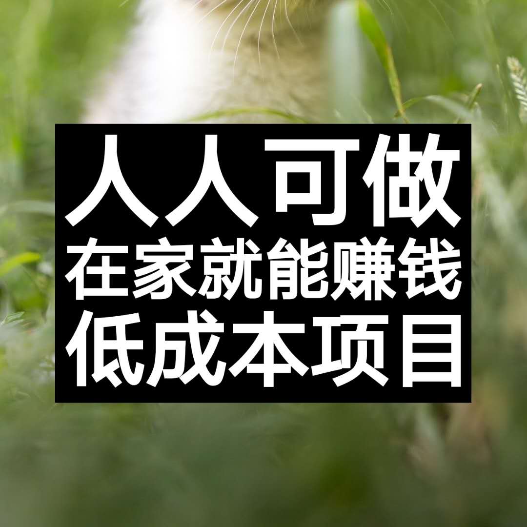 在家挣点钱_在家赚钱的活_什么活在家就能赚钱
