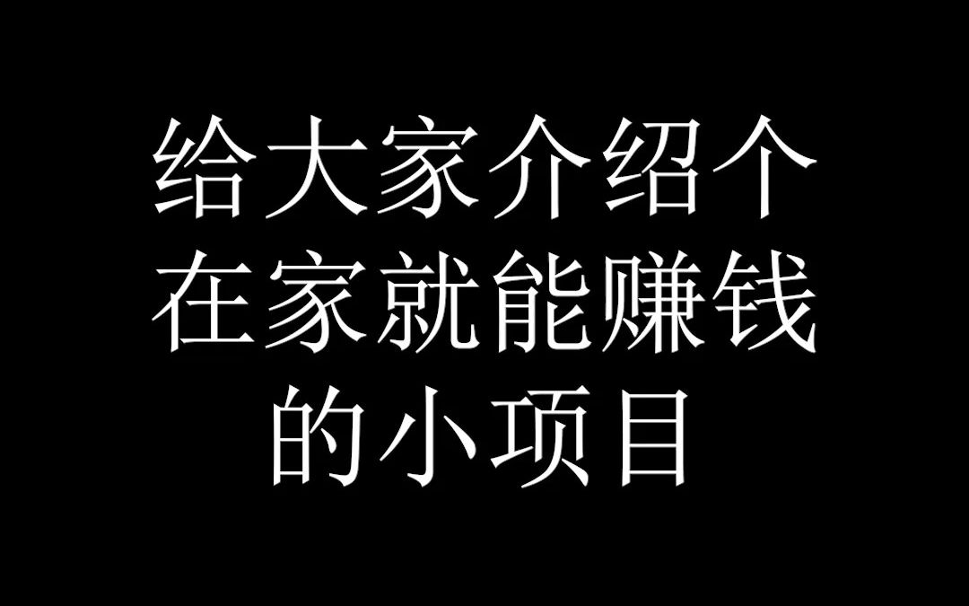 在家挣点钱_在家赚钱的活_什么活在家就能赚钱
