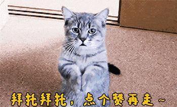 图片[3]-现在玩什么直播赚钱-原来直播聊天的钱这么好赚，网友晒出收入，大平台的机会就是多-优创圈