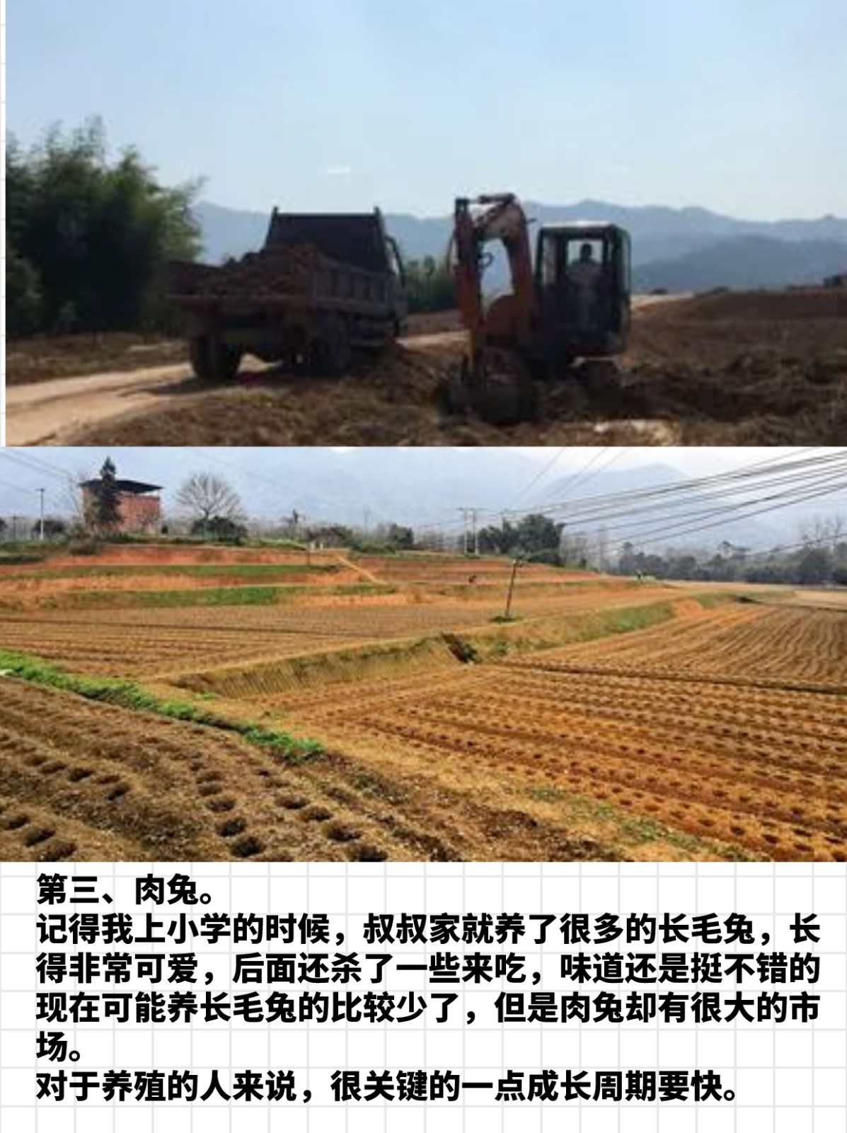 现在农村养啥赚钱来得快_农村养啥挣钱_在农村现在养什么赚钱