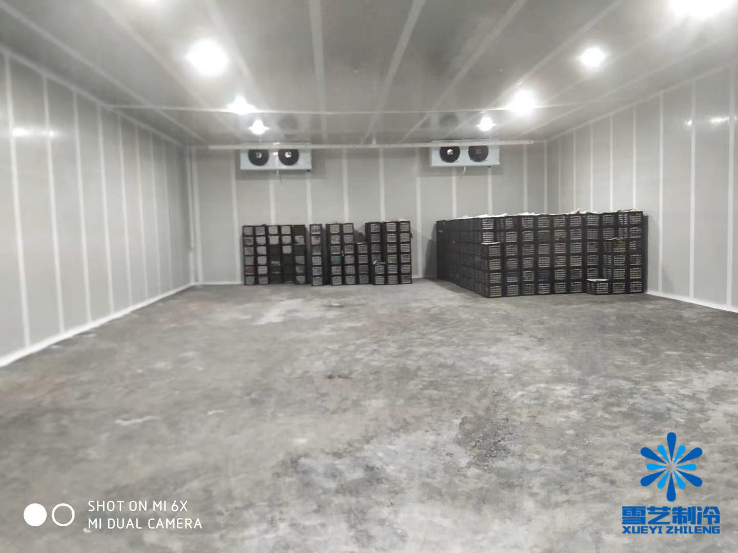 冷库主要靠什么赚钱_冷库赚钱之道_做冷库生意前景怎么样