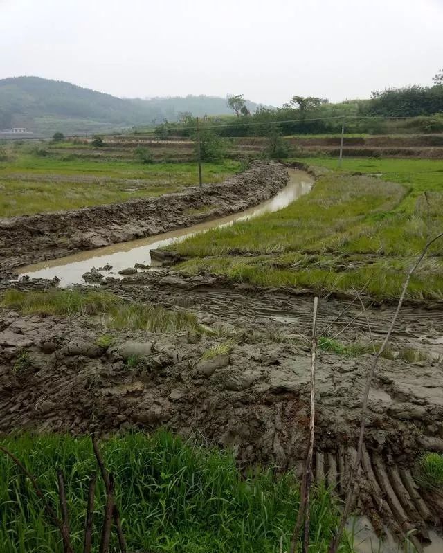 为什么养殖龙虾没赚钱_龙虾养殖赚钱吗_龙虾养殖赚钱没