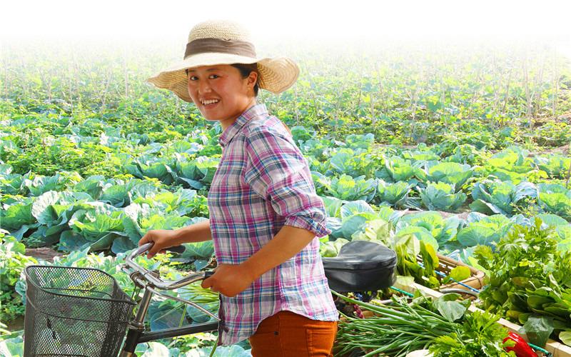 比较赚钱的特种蔬菜_特种蔬菜大全_种什么特种蔬菜最赚钱