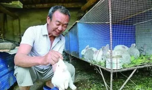 北方农村养殖什么好销路好_北方农村养什么最赚钱_适合北方农村的养殖业