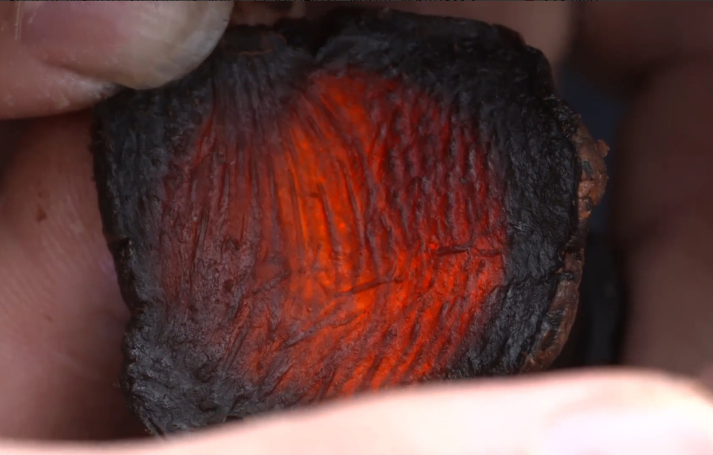 露天地种什么菜赚钱_露地种什么菜最赚钱_露天地现在种什么菜好