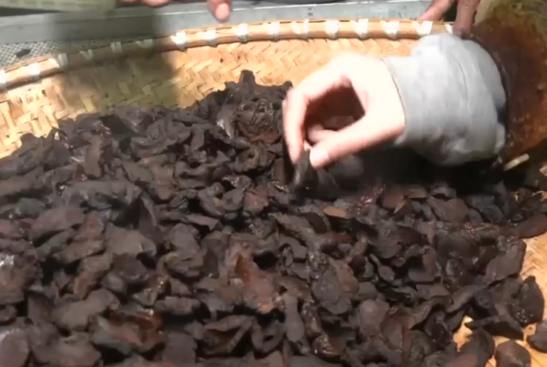 露天地现在种什么菜好_露天地种什么菜赚钱_露地种什么菜最赚钱