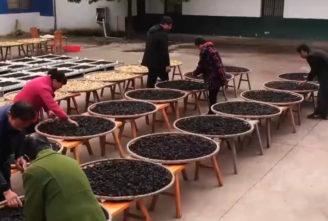 露地种什么菜最赚钱_露天地种什么菜赚钱_露天地现在种什么菜好