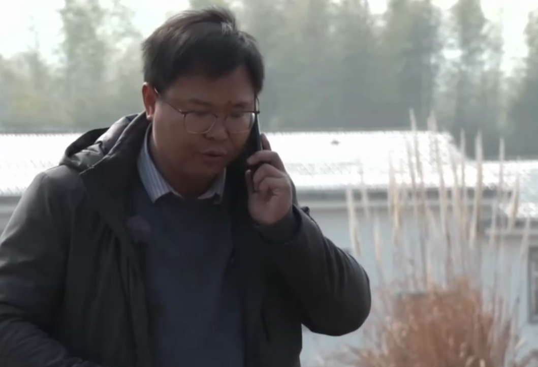 露天地现在种什么菜好_露地种什么菜最赚钱_露天地种什么菜赚钱