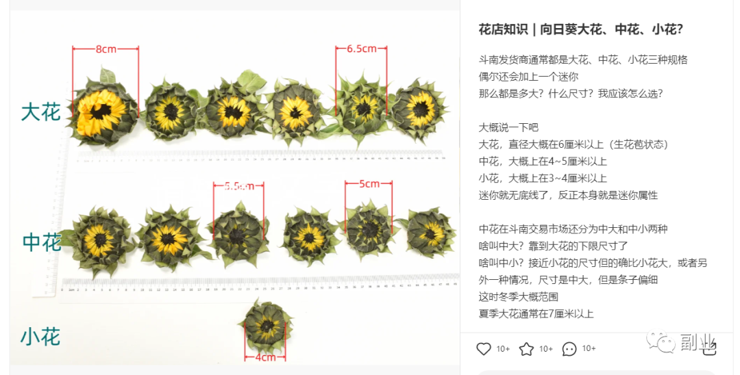 副业卖花赚钱吗_赚钱副业卖花赚钱吗_副业卖花怎么样