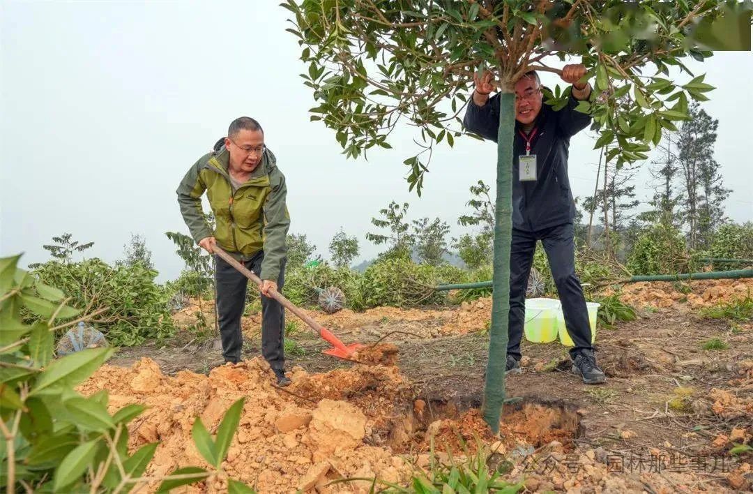 想种树赚钱_可以赚钱种树的游戏叫什么_现在农村种什么树赚钱
