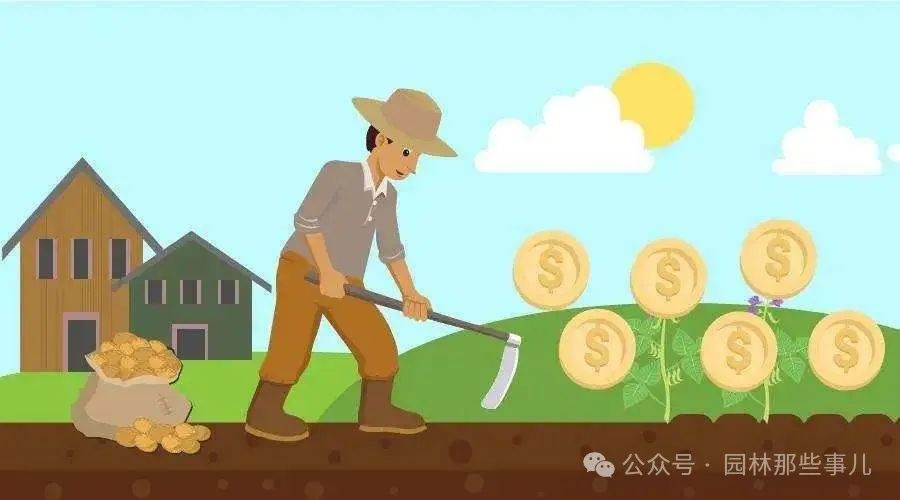 想种树赚钱_可以赚钱种树的游戏叫什么_现在农村种什么树赚钱