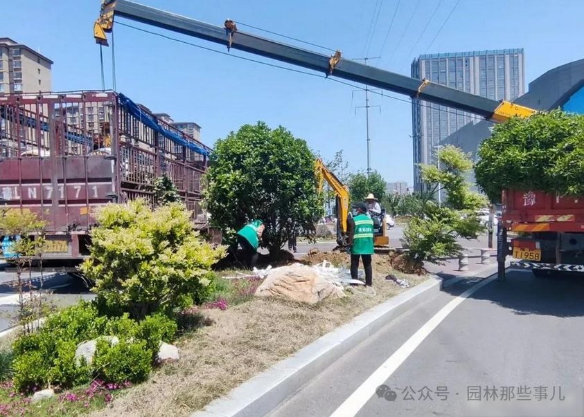 想种树赚钱_现在农村种什么树赚钱_可以赚钱种树的游戏叫什么